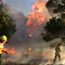 Firefighters control torching tree
