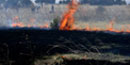 color photograph of burning grasslands with firefighters in background