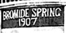 Detail of the 1907 Bromide Springhouse