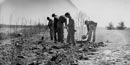 Young men planting trees in a barren landscape