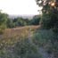 Sunset from Bromide Hill
