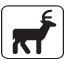 Drawing of a deer with antlers