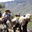LE Rangers and seized drug load