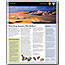 2008 Visitor Guide