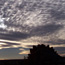 Stegosaurus at sunset