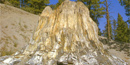 Photo of 14 foot wide, 12 foot tall petrified tree stump of a redwood