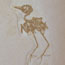 Two to three bird fossils are discovered each year in the Fossil Lake deposits. This bird is one of several unidentified species.