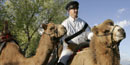 Camels at Fort Davis NHS.