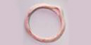 Shell Bracelet