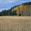 round prairie