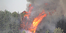 The Robert Fire of 2003 The Robert Fire of 2003