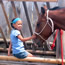 Kids can pet the horses.