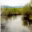 Clark Fork River