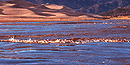 Surge flow, Medano Creek