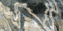 Banded gneiss
