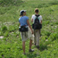 Hikers in Teton Canyon