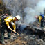 Firefighters