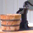 Birthplace water pump