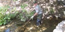 Ranger Rex cleaning swallet