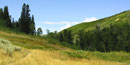 Little Emmigration Canyon near Salt Lake City, Utah.