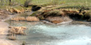 Bubbling, carbonated waters of Soda Springs, Idaho.