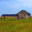 The Novillo Line Camp