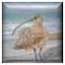 Artwork by Tyler Hudock - http://pickyourpaint.weebly.com/