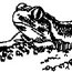 amphibian drawing