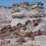 butte and petrified wood