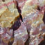 colorful petrified wood