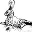 illustration of rabbit and stink beetle