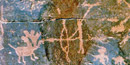 Petroglyphs near Pipe Spring National Monument.
