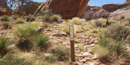 Revegetation sign
