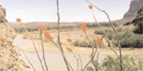 The Rio Conchos