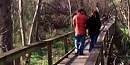 The Yanaguana Trail at Mission San Juan