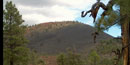 Sunset Crater Volcano seen through trees