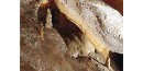 drapery cave formation