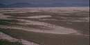 Aerial photo of parabolic dunes.
