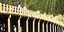 Fishing Bridge. Fishing Bridge.