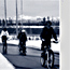 A group of bicyclists in Yellowstone