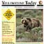 Cover of summer 2007 Yellowstone Today