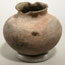 Museum Collections