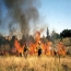 Fire Management Options