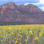 Smithsonian Butte
