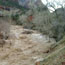 Flash Flood