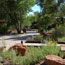 Zion Canyon Visitor