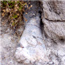 Discover dinosaur and other fossils