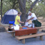 Camping and Picnicking