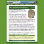 Paleontology Database