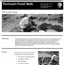 Download the Paleontology Program brochure